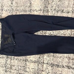 Express Navy Ankle Pants